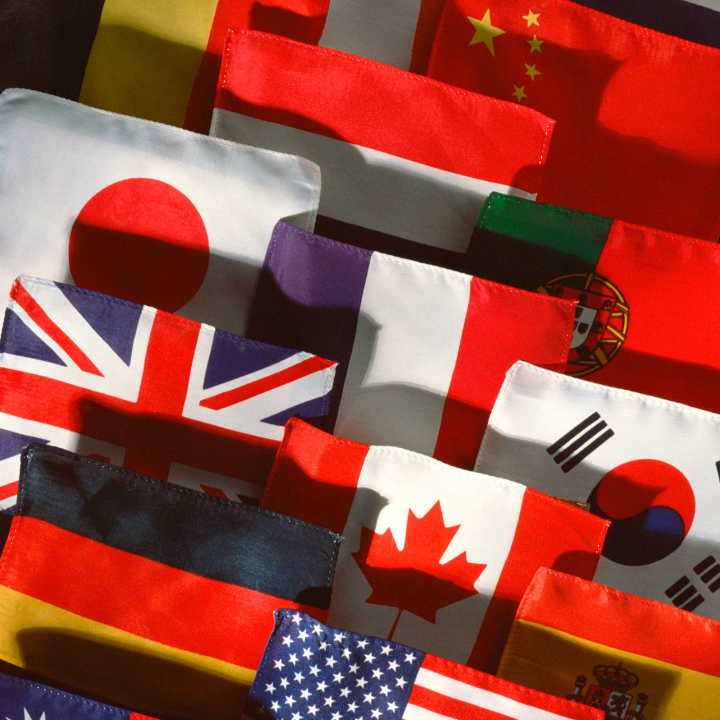 International Freight Feature image